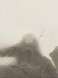Wild Grass, Old Ape by Shao Fan contemporary artwork works on paper