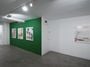 Contemporary art exhibition, Anastasia Samoylova, FloodZone at Sabrina Amrani, Madera, 23, Madrid, Spain