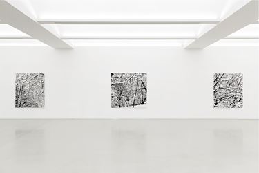 Exhibition view: Farhad Moshiri, Snow Forest, Galerie Perrotin, New York (5 November–23 December 2017). Courtesy the Artist and Galerie Perrotin. Photo: Guillaume Ziccarelli