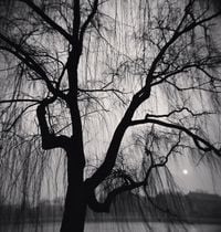 Setting Sun, Beijing, China by Michael Kenna contemporary artwork photography