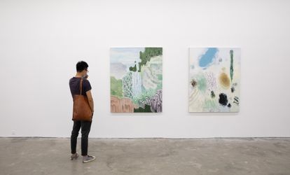 Exhibition view: Ji Lei, Trans-land · Shanshui, A Thousand Plateaus Art Space, Chengdu (18 July–30 August 2020). Courtesy A Thousand Plateaus Art Space.