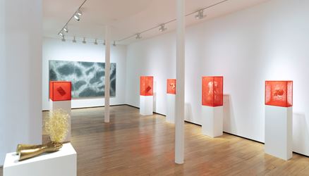Exhibition view: Chiharu Shiota, Inner Universe, Templon, 28 Grenier Saint-Lazare, Paris (30 May–25 July 2020). Courtesy Templon.