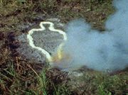 The disappearing acts of Ana Mendieta