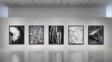 Contemporary art exhibition, Robert Longo, Lazarus Manifold at Pace Gallery, 540 West 25th Street, New York, USA