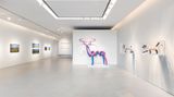 Contemporary art exhibition, Group Exhibition, The Projective View at SEOJUNG ART, Busan, South Korea
