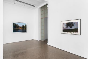 Exhibition view: David Claerbout, Birdsong, Galerie Greta Meert, Brussels (9 November–3 February 2024). Courtesy Galerie Greta Meert.