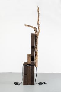 Organización de la Materia by Jose Dávila contemporary artwork sculpture