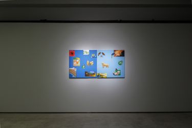 Exhibition view: Li-lan, The Art of Flight, Tina Keng Gallery (27 May–30 June 2023). Courtesy Tina Keng Gallery, Taipei.