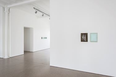 Exhibition view: Edith Dekyndt, Strange Fruits, Galerie Greta Meert, Brussels (20 April–2 July 2016). Courtesy Galerie Greta Meert.