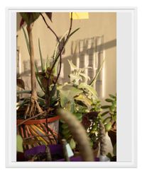 We're Not Going Back 2 by Wolfgang Tillmans contemporary artwork photography, print