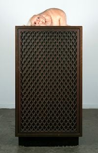 The Listener by Patricia Piccinini contemporary artwork sculpture