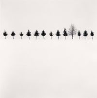 'Line of Trees', Biei, Hokkaido, Japan by Michael Kenna contemporary artwork photography, print