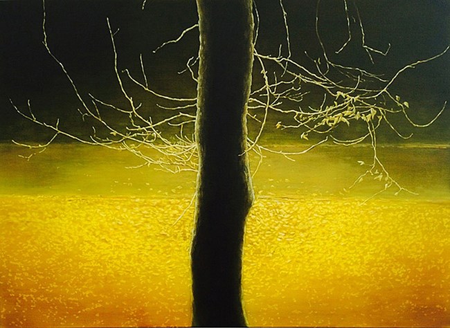 Park nocturne by Andrew Browne contemporary artwork