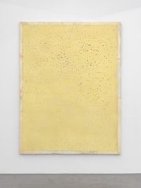 Untitled (yellow painting) by Lawrence Carroll contemporary artwork mixed media