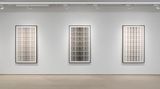 Contemporary art exhibition, Michal Rovner, Evolution at Pace Gallery, Geneva, Switzerland