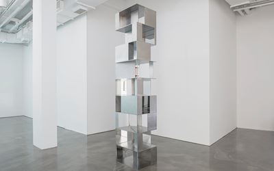 Tower_40x30x270cm_stainless steel,mirror_2017