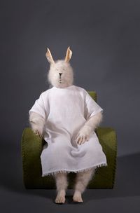 Bandaid Bunny by Linde Ivimey contemporary artwork sculpture