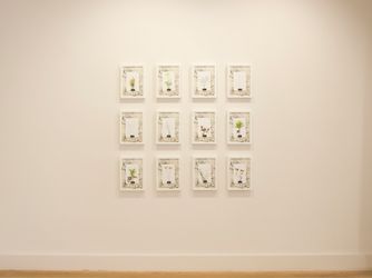 Exhibition view: Zadok Ben-David and Tilyen Mucic, Shrubs, Flowers and Decay, Galerie Albrecht, Berlin (25 March–19 May 2022). Courtesy Galerie Albrecht.