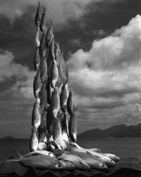 Cascata di Pesci, Seychelles by Gian Paolo Barbieri contemporary artwork photography
