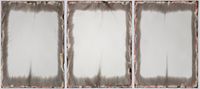 Triptych V by Susan Schwalb contemporary artwork drawing