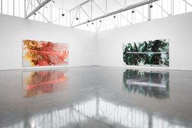 Exhibition view: Mary Weatherford, I’ve Seen Gray Whales Go By, Gagosian, West 24th Street, New York (13 September–15 October 2018). Artwork © Mary Weatherford. Courtesy Gagosian. Photo: Fredrik Nilsen Studio.