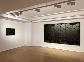 Exhibition view: Yang Jiechang, The Last Tree, Alisan Fine Arts, Hong Kong (22 May–31 August 2024). Courtesy Alisan Fine Arts.
