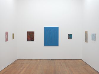 Exhibition view: Campbell Patterson, Notions, Michael Lett, Auckland (2 August–2 September 2023). Courtesy Michael Lett.