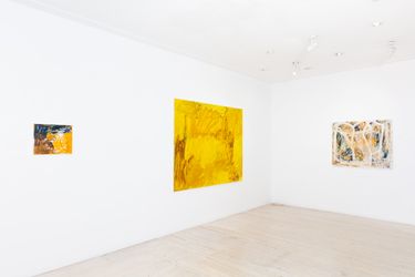 Exhibition view: Eleanor Louise Butt, Yellow Flowers in the Grass, Gallery 9, Sydney (14 June–8 July 2023). Courtesy Gallery 9, Sydney.