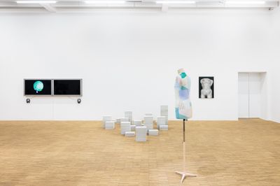 Exhibition view: The Myth of Normal. Chronic Contradictions, Salzburger Kunstverein (9 May–30 June 2024).