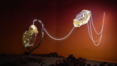 Black Void, Biosphere 3 (2023–2025). Exhibition view: Group Exhibition, Chaos Butterfly: Xi’an ing Sci-Tech Art Season, Chang’an Yun Xi’an City Art Center, Xi’an (5 January–30 May 2025).