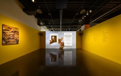 Aisuke Kondo, YELLOW PEEL (2023). Single-channel video, prints. Exhibition view: Group Exhibition, 2025 Taoyuan International Art Award, Taoyuan Arts Center, Taoyuan (26 March–18 May 2025).