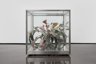 Huh Suyon, Quarantine (2022), Glass box with flowers made of hanji. 65 x 65 x 65 cm.
