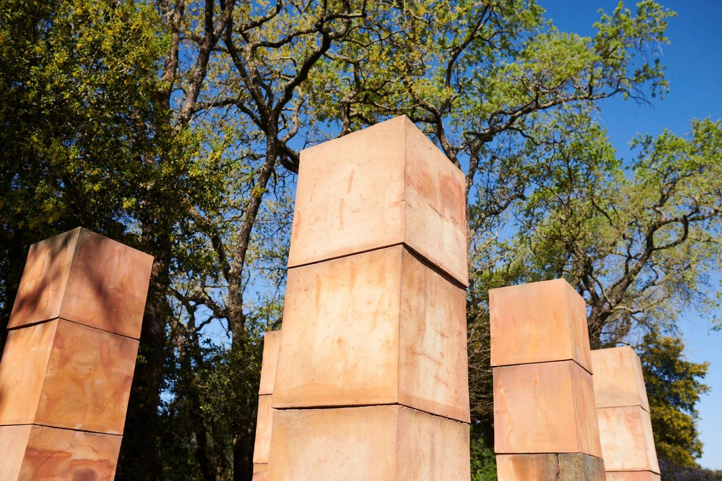 Bosco Sodi, Untitled (2015–2019). Clay cubes. Installation view: Bella Oaks Vineyard. Courtesy Bella Oaks Vineyard.