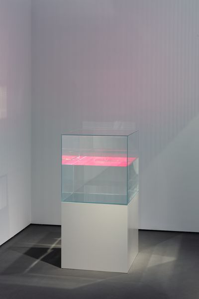 Ann Veronica Janssens, Pink Coco Lopez (2010–2018). Glass, paraffin oil, fluo serigraph, wooden base. 60 x 60 x 60 cm (vitrine); 60 x 60 x 60 cm (base); 120 x 60 x 60 cm (overall). Edition of 1.