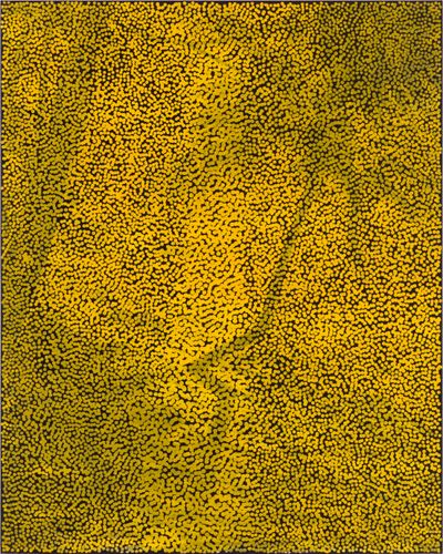 Daniel Boyd, Untitled (SPLDDMNDX) (2021). Oil, acrylic, charcoal and archival glue on canvas. 153 x 122 cm; 60 1/4 x 48 1/16 inches.