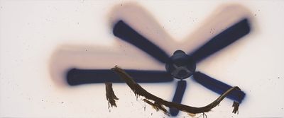 Tala Madani, Fan Hang (2021). Oil on linen. 152.4 x 365.8 x 3.2 cm.
