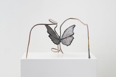 Grace Schwindt, Butterfly (2022). Bronze. 36 x 53 x 44 cm. Edition of 3.