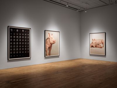 Exhibition view: Heji Shin, THE BIG NUDES, 52 Walker, New York (22 July–8 October 2023).