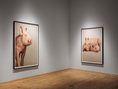 Exhibition view: Heji Shin, THE BIG NUDES, 52 Walker, New York (22 July–8 October 2023).