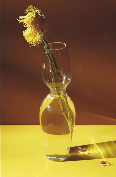 Pedro Almodóvar, Brown and yellow (2019). C-print.