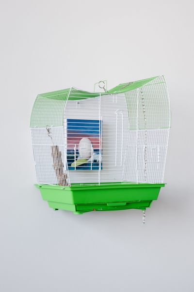 COBRA, Story of eggs (bird gallery for birds (2023). Acrylic on canvas, bird cage, and various other materials. 14.13 x 11.25 x 17.5 in.