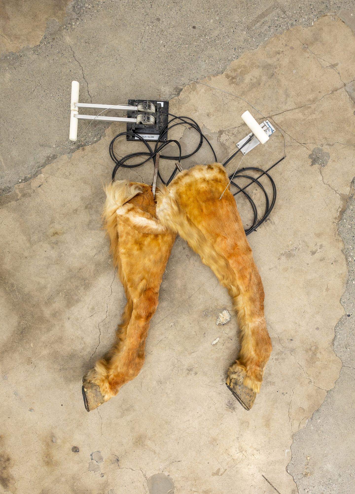 Sula Bermúdez-Silverman, La Siguanaba (2023). Faux fur, latex, urethane foam, levers. 30.5 x 116.8 x 116.8 cm. Courtesy Ocula. Photo: Charles Roussel.