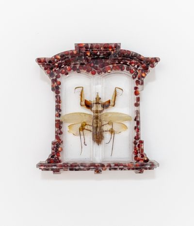 Sula Bermúdez-Silverman, De Monstris (2023). Maize, epoxy resin, giant devil's flower mantis (Idolomantis diabolica). 22.9 x 21 x 3.8 cm.