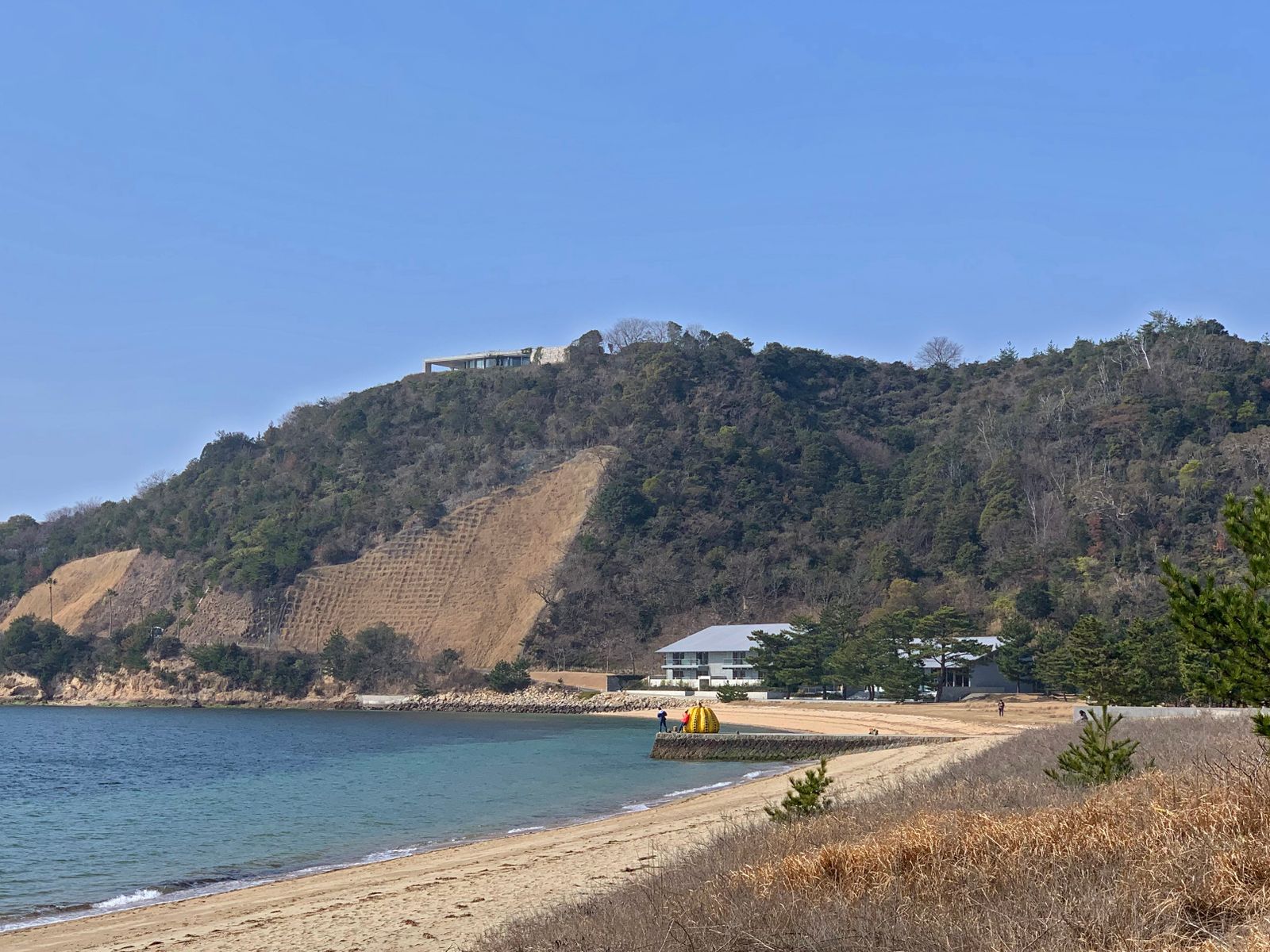 The Magnificent Seven Art Sites: Benesse Naoshima | Ocula