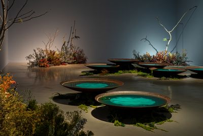 Bianca Bondi, Scrying in Astral Ponds (Haciendo vaticinios en estanques astrales) (2024). Installation.