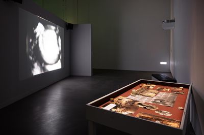 吴其育，《薄膜史：无主数据》，2024。展览现场：“山演算”，高雄市立美术馆，高雄（2024年8月17日至11月24日）。图片提供：缓步动物。摄影：简豪江。