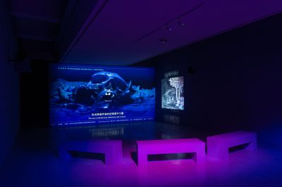 梁廷毓《斷頭河計畫》，2019–2023。展覽現場：2024臺北美術獎，臺北市立美術館，臺北（2024年11月14日至2025年3月2日）。圖片提供：臺北市立美術館。