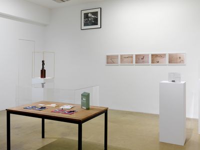 Exhibition view: Bijoux de famille, Galerie Chantal Crousel, Paris (21 February–11 March 2009).