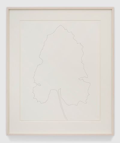 Ellsworth Kelly, Burdock (1969). Ink on paper. 73.7 cm × 58.4 cm (paper); 94.9 cm × 79.4 cm × 4.1 cm (frame). © Ellsworth Kelly Foundation.