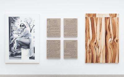 Meleko Mokgosi, Objects of Desire 7 (2016–2020). Oil on canvas, inkjet on linen. 2 paintings: 162.56 x 111.76 cm each. 4 wall text panels: 45.72 x 61 cm each. © Meleko Mokgosi.